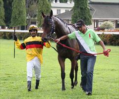 HELLO SAYANG - War Chant filly returns to scale with winning jockey Henry Barnabas